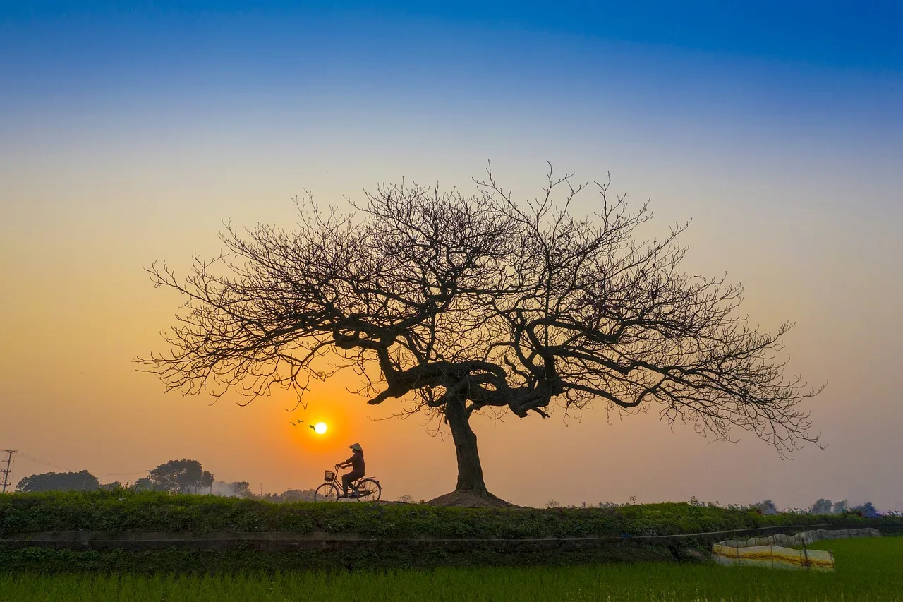 Sunset 5222626 1280